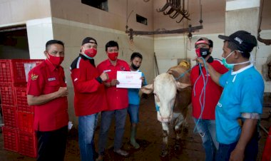 Terapkan Prokes, DPC PDI Perjuangan Kota Surabaya Bergotong Royong Bagikan Daging Kurban Door to Door ke Warga